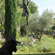 Michel WOHFAHRT, taureau Nicolas LAVARENNE, "Enigme", hauteur 5,80 m